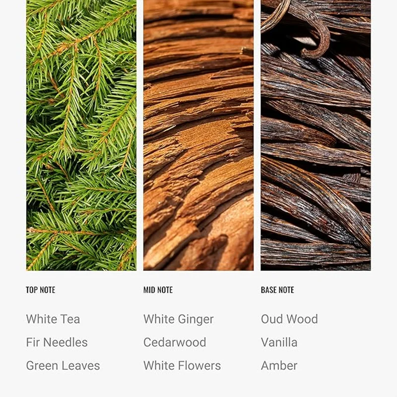 Hotel Collection  Botanical Garden Fragrance Oil Blend - Hotel Inspired for Luxury Essential Oil Diffusers - Aromatherapy Scent Diffuser Oil - Green Leaves, White Ginger, and Vanilla - 50 mL, 1.7 fl oz  | Best Price UAE