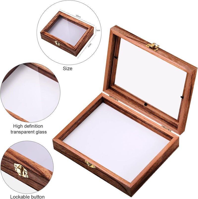 WILLBOND Insect Display Case Box Collection Box with Clear Top, EVA Foam Pinning Board and 100 Pieces Pins Insect Shadow Box Kit Entomology Supplies for Collecting Butterfly Specimen (Brown) - Image 3