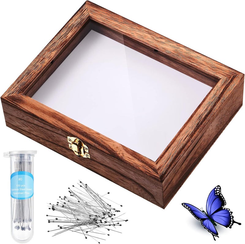 WILLBOND Insect Display Case Box Collection Box with Clear Top, EVA Foam Pinning Board and 100 Pieces Pins Insect Shadow Box Kit Entomology Supplies for Collecting Butterfly Specimen (Brown) - Image 1