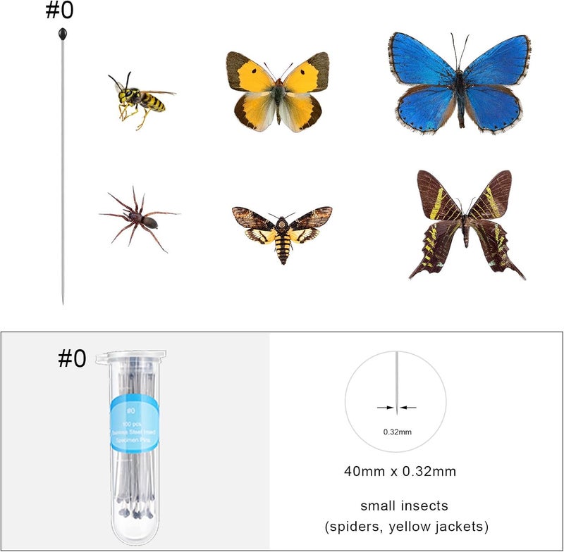 WILLBOND Insect Display Case Box Collection Box with Clear Top, EVA Foam Pinning Board and 100 Pieces Pins Insect Shadow Box Kit Entomology Supplies for Collecting Butterfly Specimen (Brown) - Image 2