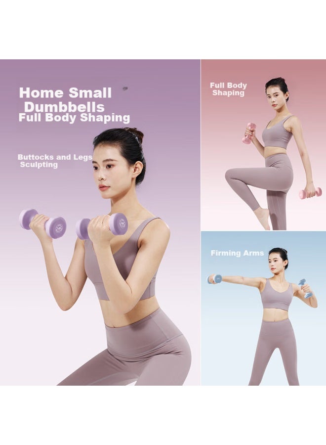 LONGWAY Langwei Dumbbells For Women, Color-Coated Pure Iron, Yaling Arm Shaping, Light And Heavy Weights, Home Fitness [Jd Exclusive] - Image 3