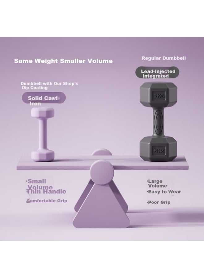 LONGWAY Langwei Dumbbells For Women, Color-Coated Pure Iron, Yaling Arm Shaping, Light And Heavy Weights, Home Fitness [Jd Exclusive] - Image 2