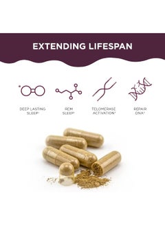 Healthycell Telomere Length With Ac-11 / Nutrition Supplement For Telomere Maintenance, Antiaging, Healthy Ageing, Cell Health  - Image 3