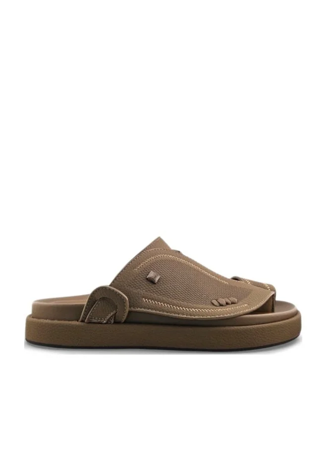 الفانوس الفانوس: أومبري رويال