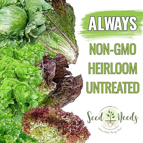 Seed Needs Lettuce Seeds for Planting - Non-GMO Heirloom & Untreated - Grow a Home Grown Outdoor Garden or an Indoor Hydroponics Garden - Homestead Sampler Kit (14 Packs) - Image 4