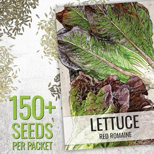 Seed Needs Lettuce Seeds for Planting - Non-GMO Heirloom & Untreated - Grow a Home Grown Outdoor Garden or an Indoor Hydroponics Garden - Homestead Sampler Kit (14 Packs) - Image 3