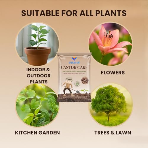 Utkarsh Castor Oil Cake Fertilizer for Plants | Organic Castor Khali Compost Powder for Home Garden, Manure for Flowers, Vegetables & Lawn (900 gm; Pack of 1) - Image 4