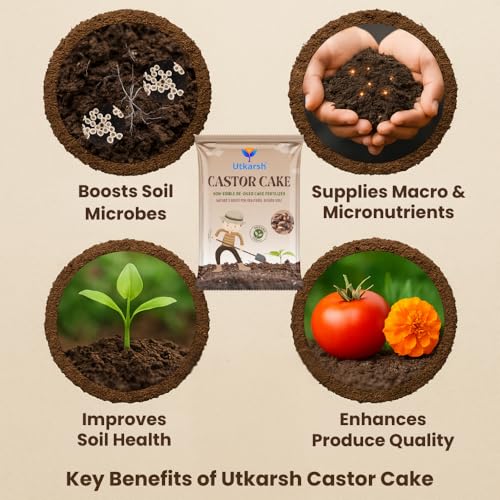 Utkarsh Castor Oil Cake Fertilizer for Plants | Organic Castor Khali Compost Powder for Home Garden, Manure for Flowers, Vegetables & Lawn (900 gm; Pack of 1) - Image 2