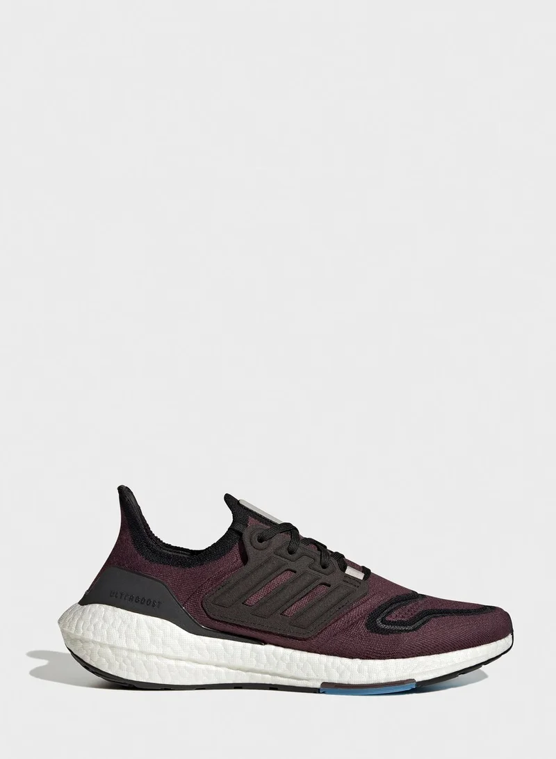 adidas حذاء الترابوست 22