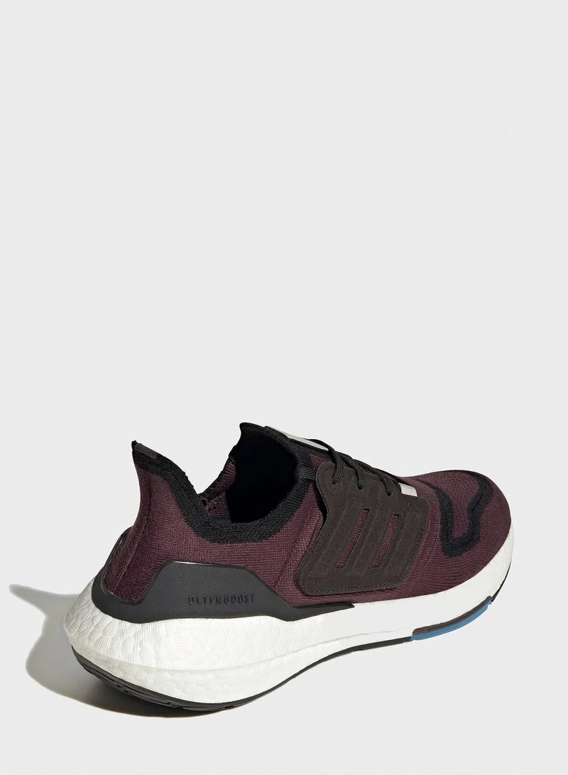 adidas حذاء الترابوست 22