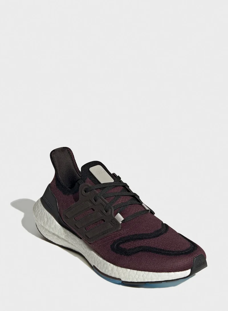 adidas حذاء الترابوست 22
