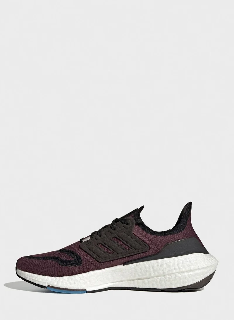 adidas حذاء الترابوست 22