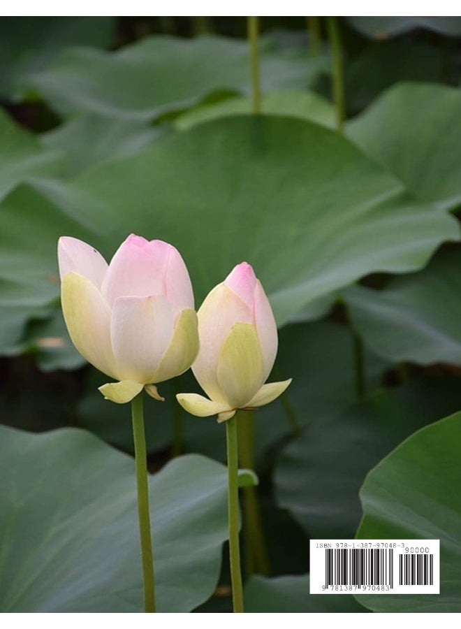 Poetry Diary 2019 (Paperback) - Image 2