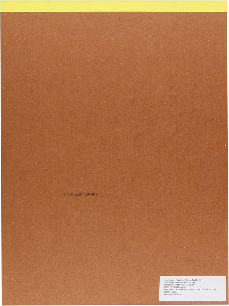 Strathmore دفتر فلامينغو 300 سلسلة بريستول فيلوم - 9x12 بوصة، 20 ورقة، 100 رطل (270 جرام/م²) - Image 2