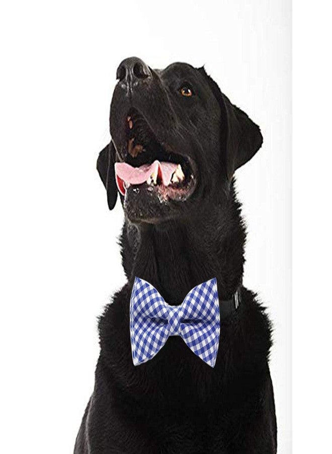 RR Design Checkered (Blue & White) Dog Bow Tie/Dog Bow-tie/Dog Gift with Loop Adjustable Elastic for Collar Placement (Adjustable) (Medium) - Image 2