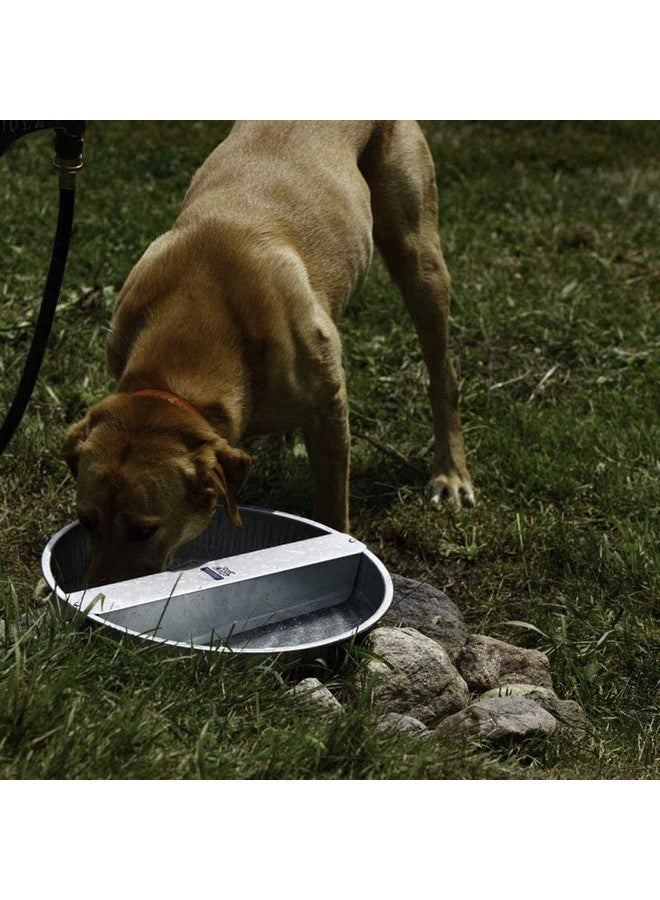 ليتل جايانت وعاء ماء إيفر فول للحيوانات الأليفة من ليتل جاينت، مصنوع من الفولاذ المجلفن، سعة 13 كوارت (عبوة من قطعتين) - Image 4