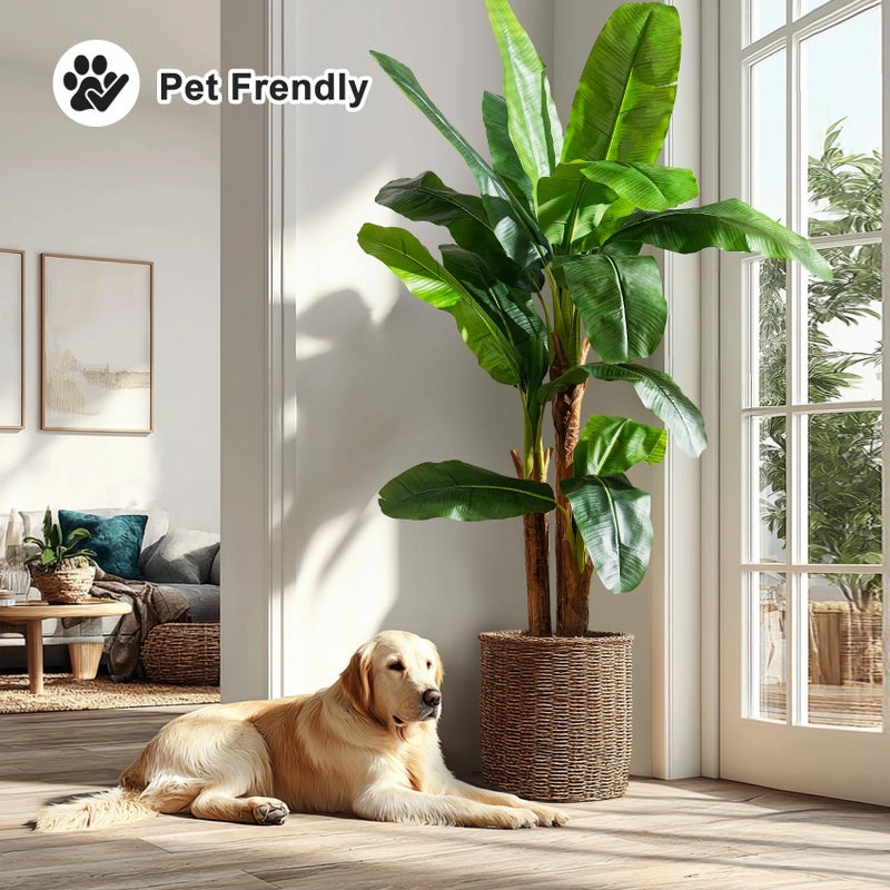 Bailikang Artificial Banana Tree 6ft, Faux Tropical Palm Tree Plant with Realistic Leaves, Low Maintenance Indoor Outdoor Decor for Home Office Porch, in Nursery Pot - Image 4