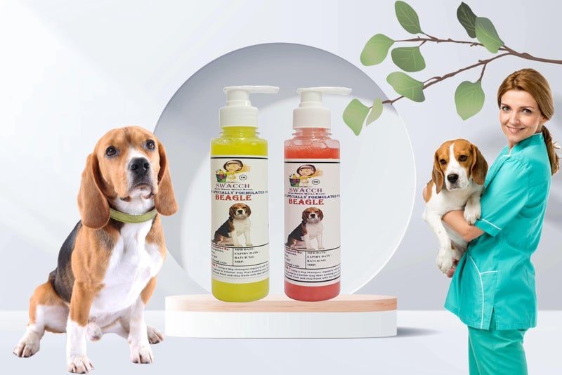 SWACCH Premium Shampoo for Beagle (200ML)(Combo Pack of 2) Lemon & Jasmine - Image 2