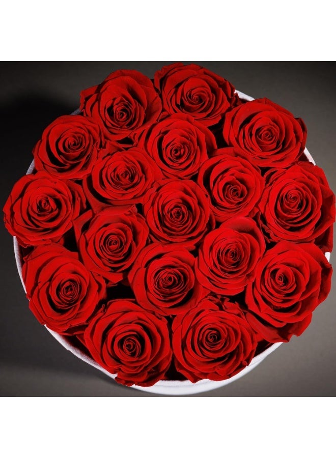Artificial Red Roses in Suede Box - 17-Piece Roses in a Box - Artificial Roses Forever Lasting- Red Flowers forValentine's Day, Birthday, Mother's Day (Red) - Image 2