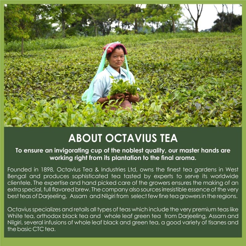 Octavius | Cardamom Chai Premix Tea - 10 Pouches (Pack Of 2) | Elaichi Chai | Gift Tin Pack | Premix Tea Powder | Instant Tea | Tea Premix | 1 Minute Tea - (15Gm X 20 Sachets, Chai Tea) - Image 5