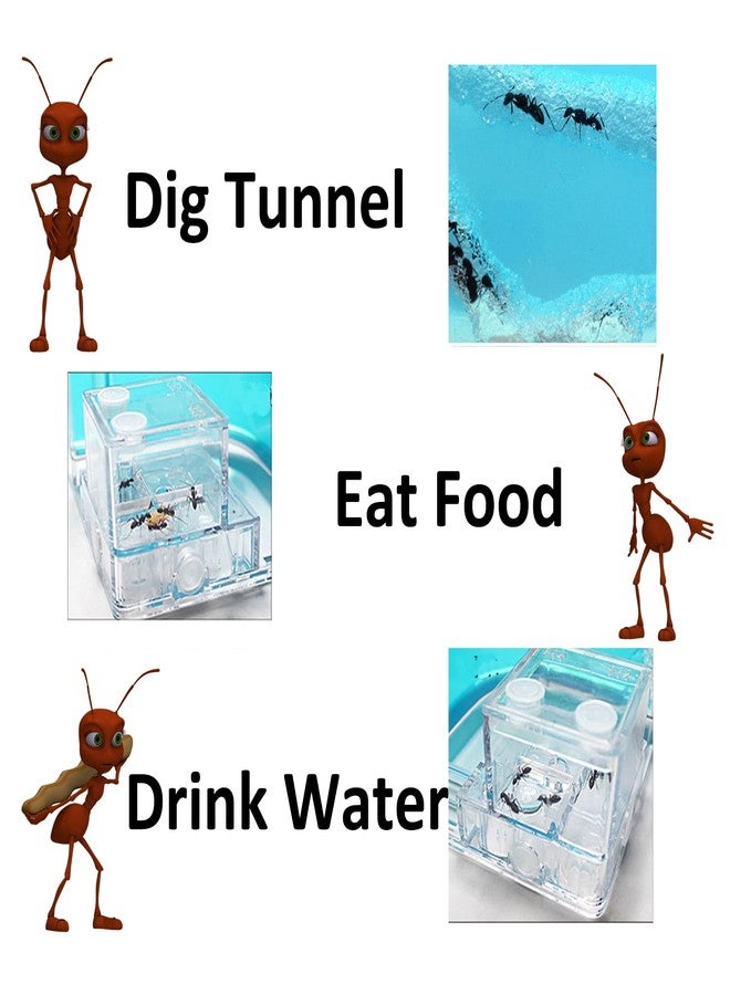 EXBEPE Ant Farm for Kids - Gel Castle Colony Ecosystem Terrarium Kit, Habitat Science Learning Kit - Image 3