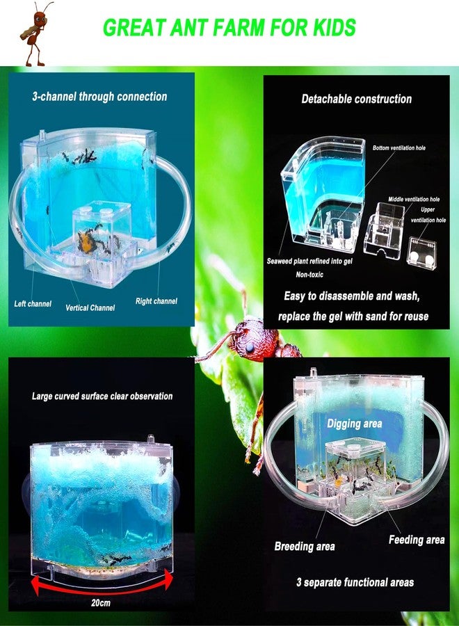 EXBEPE Ant Farm for Kids - Gel Castle Colony Ecosystem Terrarium Kit, Habitat Science Learning Kit - Image 4