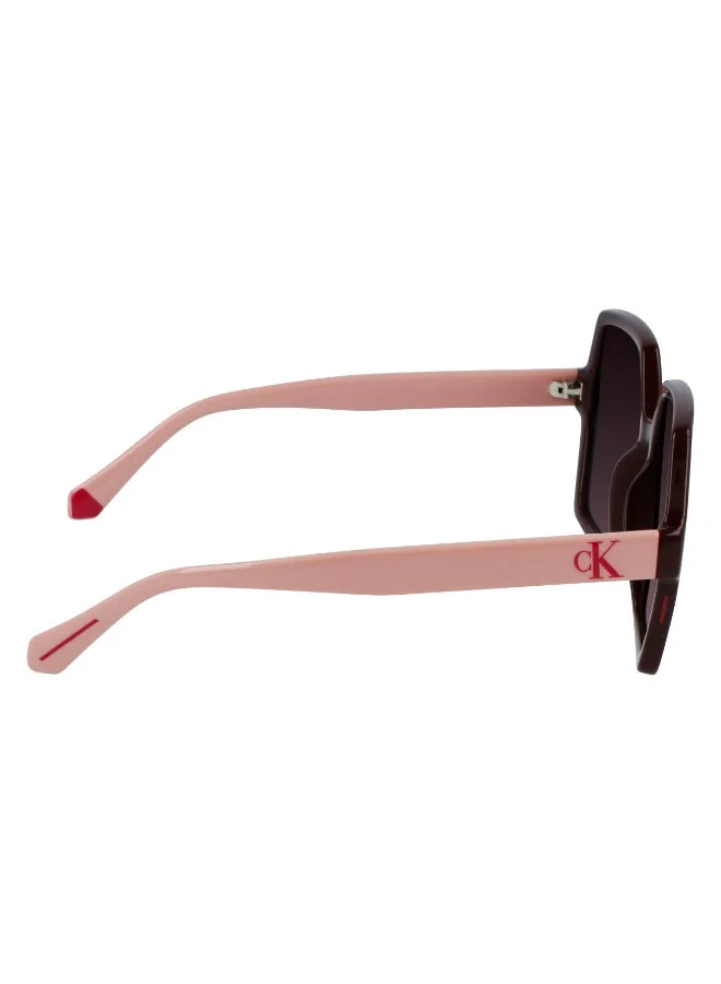 Calvin Klein Jeans  FULL RIM INJECTED CALVIN KLEIN JEANS SUN CKJ21629SN  | Best Price UAE