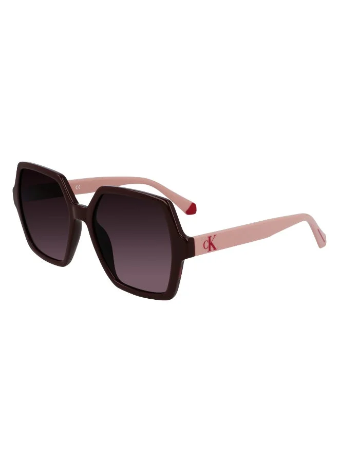 Calvin Klein Jeans  FULL RIM INJECTED CALVIN KLEIN JEANS SUN CKJ21629SN  | Best Price UAE