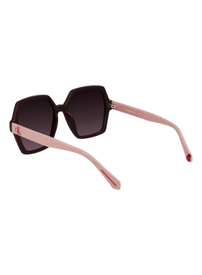 Calvin Klein Jeans  FULL RIM INJECTED CALVIN KLEIN JEANS SUN CKJ21629SN  | Best Price UAE