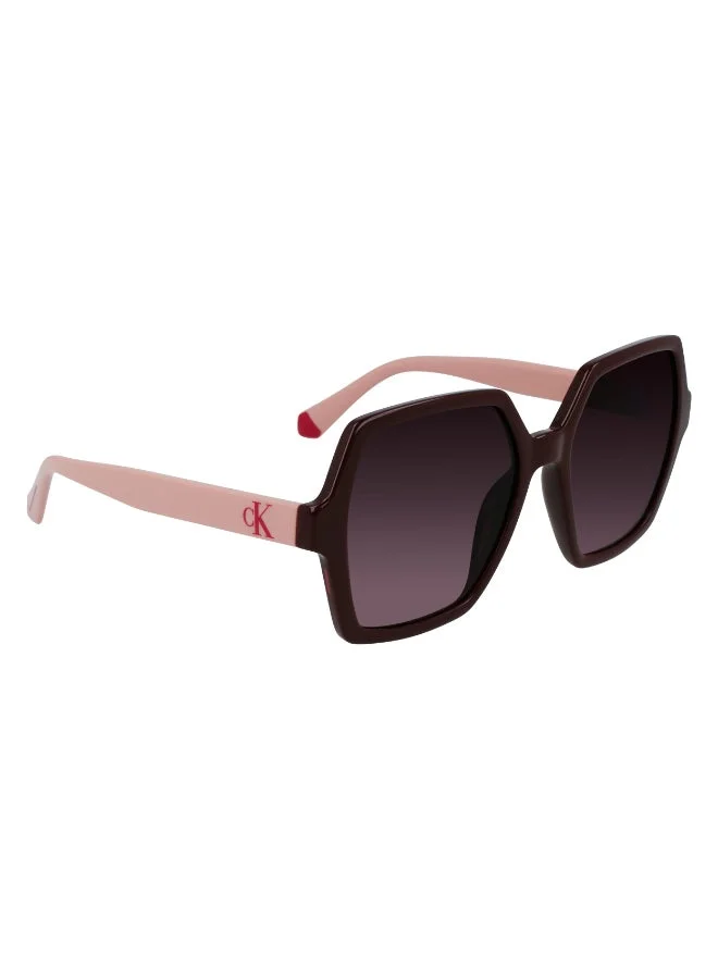 Calvin Klein Jeans  FULL RIM INJECTED CALVIN KLEIN JEANS SUN CKJ21629SN  | Best Price UAE