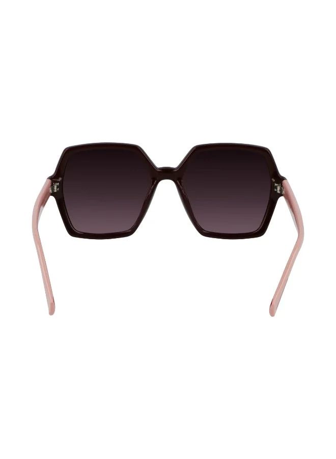 Calvin Klein Jeans  FULL RIM INJECTED CALVIN KLEIN JEANS SUN CKJ21629SN  | Best Price UAE
