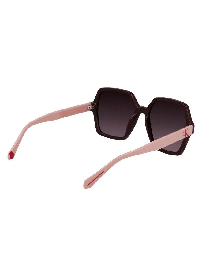Calvin Klein Jeans  FULL RIM INJECTED CALVIN KLEIN JEANS SUN CKJ21629SN  | Best Price UAE