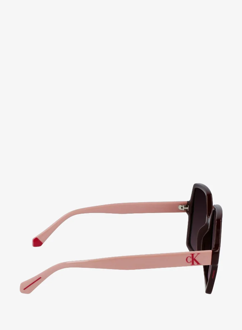 Calvin Klein Jeans  FULL RIM INJECTED CALVIN KLEIN JEANS SUN CKJ21629SN  | Best Price UAE