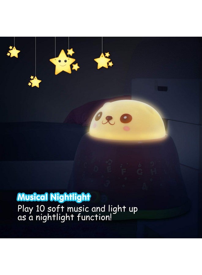 بست ليرنينج أفضل لعبة تعليمية تفاعلية مضيئة للأطفال الرضع والأطفال الصغار من عمر 6 أشهر فما فوق - هدية عيد ميلاد أول طفل ذكر أو أنثى - Image 3