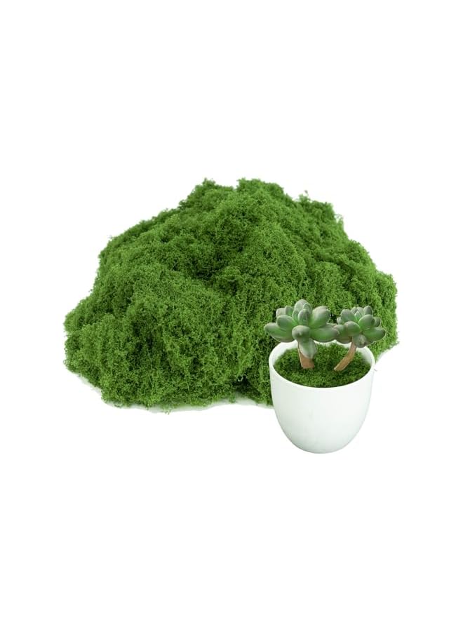 موس أخضر مزيف للنباتات المحفوظة، موس صناعي للحرف اليدوية الداخلية، زينة تنسيق الطاولات، ملحقات حديقة الجنيات، ديكور حفلات الزفاف، زهور للديكور الخارجي. - Image 1