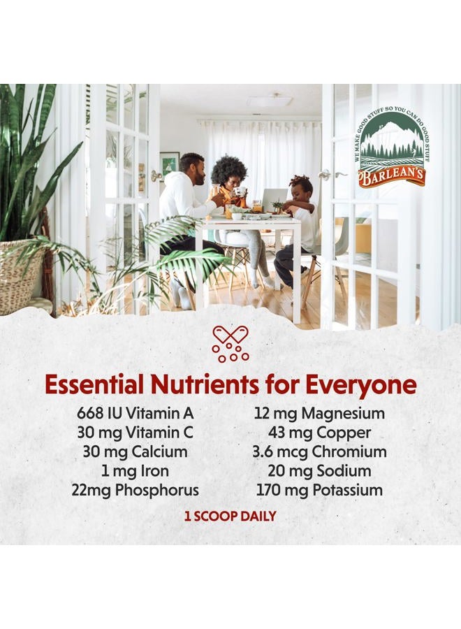 BARLEAN'S Organic Greens Powder, Fruits and Veggies Superfood Supplement with Green Food Protein, Probiotic Blend and Fiber for Athletic Endurance and Daily Health, 8.47 oz - Image 5