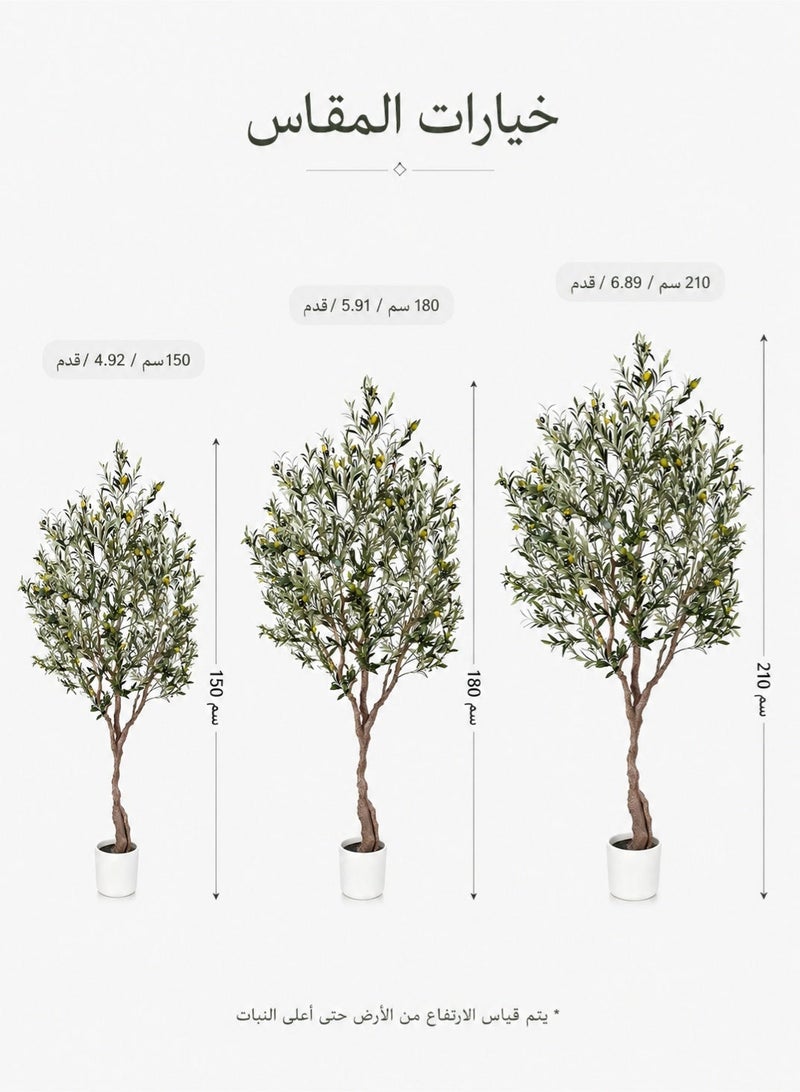 Zvezvia 210CM Artificial Olive Tree – Tall Faux Indoor Olive Plant with Lifelike Silk Leaves, Olive Branches & Fruits, Modern Home & Office Decor, Perfect Housewarming Gift - Image 4