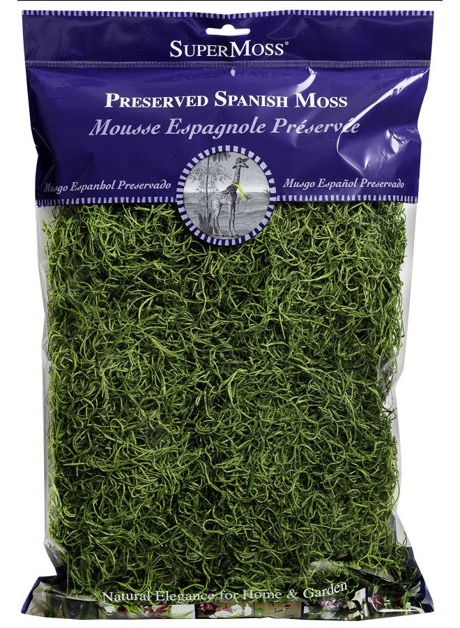 SuperMoss (26912) Spanish Moss Preserved, Grass, 8oz (200 cubic inch) - Image 2