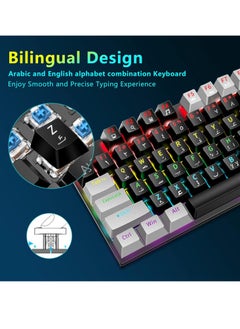 XUNFOX Xunfox K80 Gaming Keyboard - Blue Mechanical Switch – Rainbow backlight – 87 Keys TKL Size – Double Color keycaps – ( Arabic & English Keys )  - Image 4