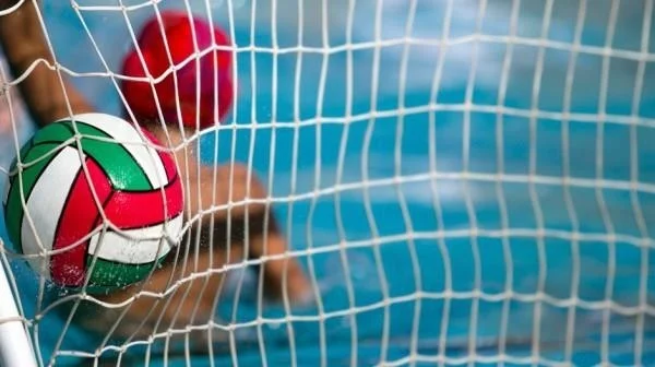 adelinspor Gold Water Polo Goal Net 100*200*100 cm