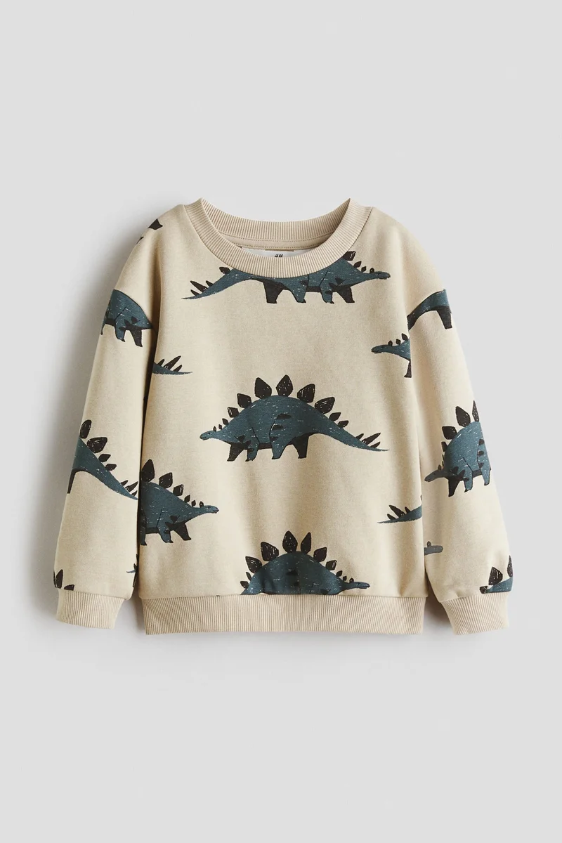 H&M Printed brushed-inside sweatshirt