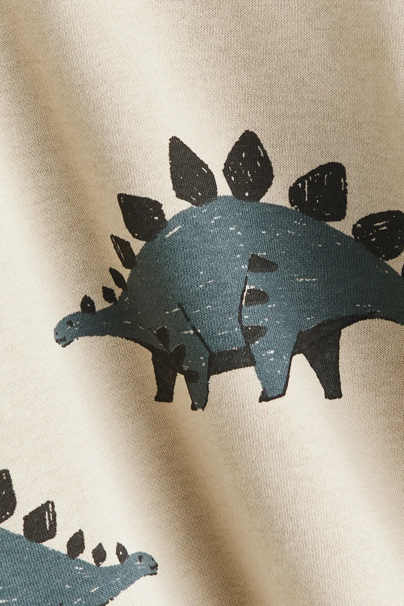 H&M Printed brushed-inside sweatshirt