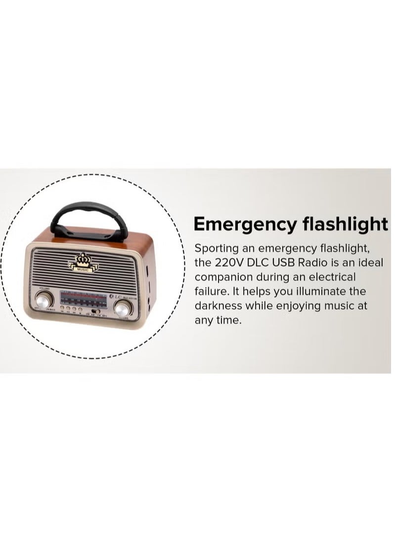 Denx Radio FM - AM - SW Gold/Brown/Black Bluetooth Portable Audio TF Card  USB Flash disk Aux playback  - Image 4