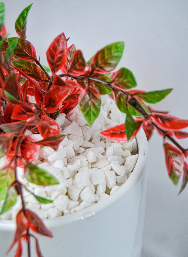 vsell24 3kg of 5-8mm Premium White Stone Chips Ideal for Aquascaping, Garden Design, and Outdoor Decor - Image 2