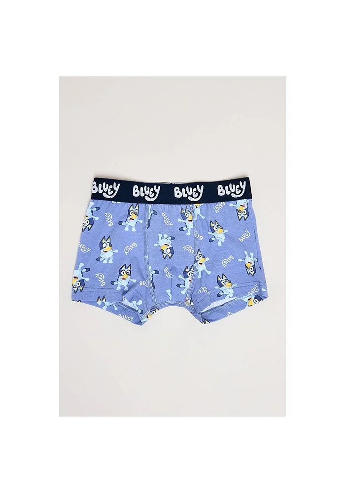 R&b 3 Pack Bluey Print Boxers