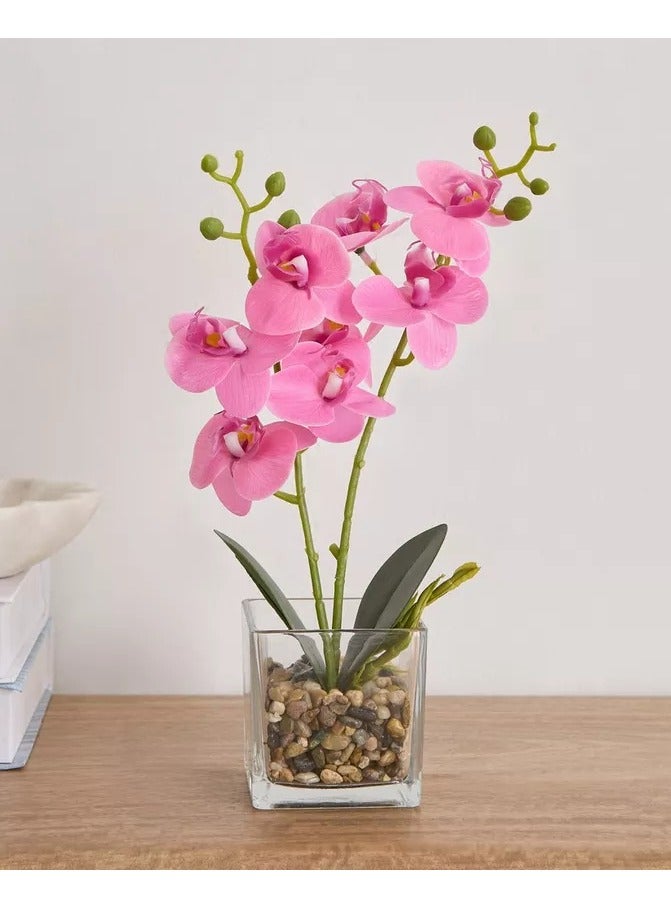 هوم بوكس نبات زهرة الأوركيد سيلو في وعاء زجاجي وحصى - 10x10x32 سم - Image 1