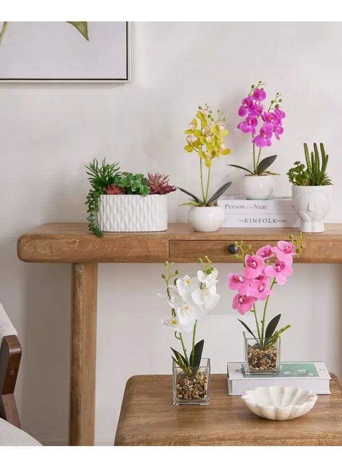 هوم بوكس نبات زهرة الأوركيد سيلو في وعاء زجاجي وحصى - 10x10x32 سم - Image 4