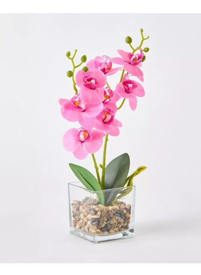 هوم بوكس نبات زهرة الأوركيد سيلو في وعاء زجاجي وحصى - 10x10x32 سم - Image 5