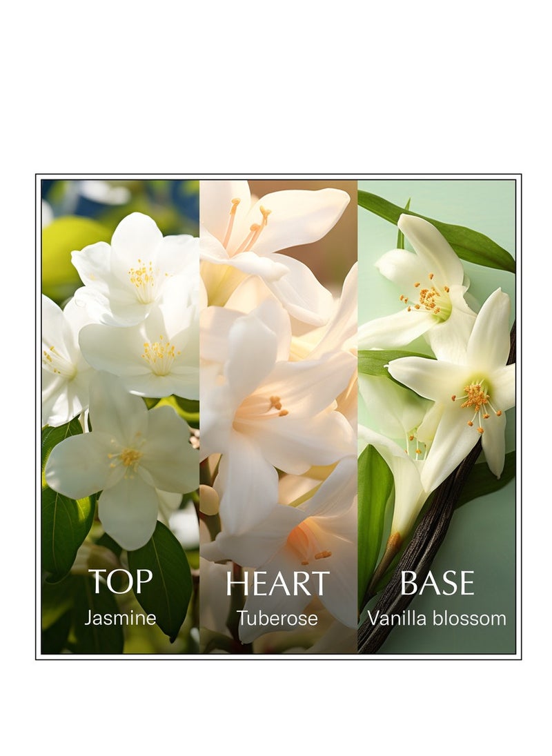 Jasmine Eau de Toilette 100ml - pzsku/ZBA8C4AF21822474C14A5Z/45/_/1727099326/10e36f2c-687a-40fc-a675-0e7189907a3e