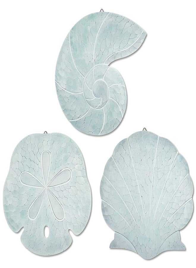 Novabright 3 Pcs Summer Coastal Wall Decor Blue Beach Wall Art Wooden Sand Dollar Nautilus Scallop Shell Decor Hanging Wood Beach Ocean Sand Dollars Art for Bathroom Living Room Lake House Entryway - Image 1